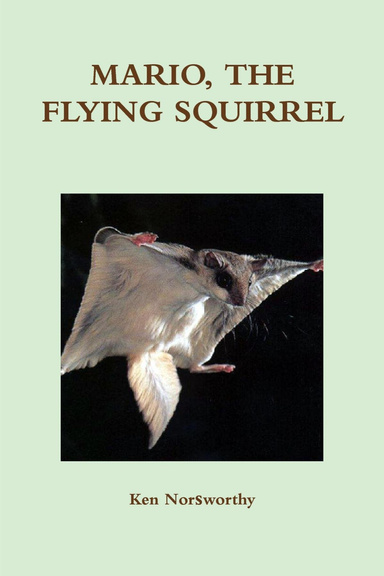 MARIO, THE FLYING SQUIRREL
