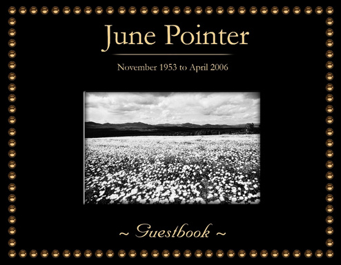 Guest Book for June Pointer