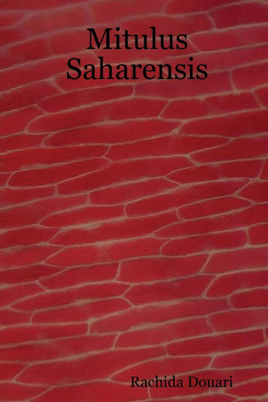 Mitulus Saharensis