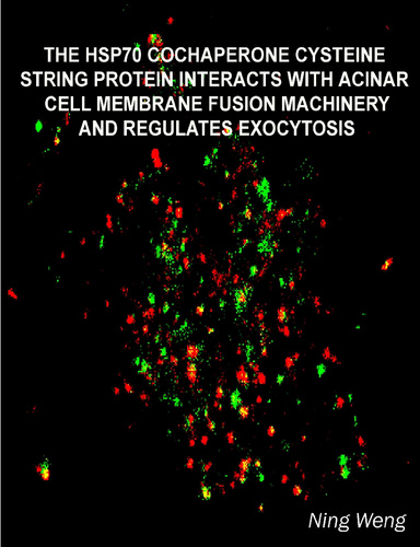 PhD thesis Black & White