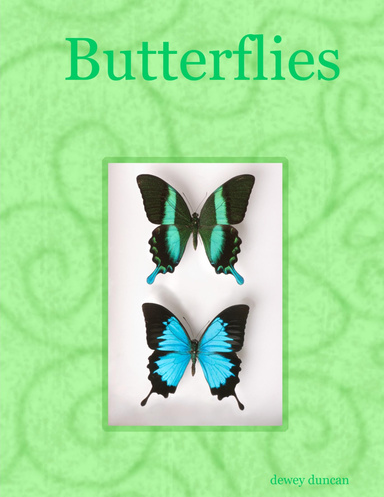 Butterflies