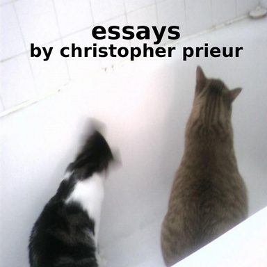 essays