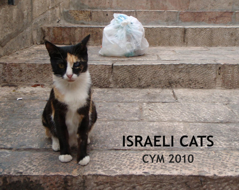 Israeli Cats