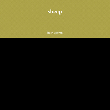 sheep