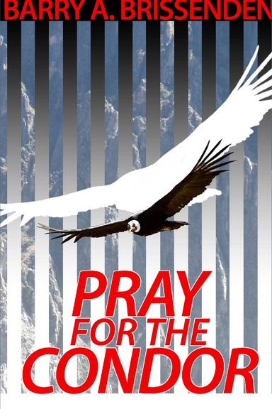 Pray for the Condor