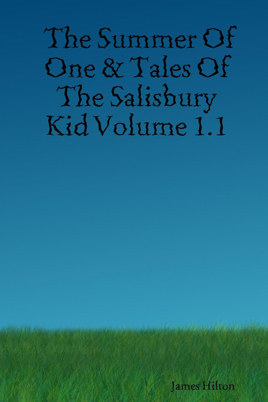 The Summer Of One & Tales Of The Salisbury Kid Volume 1.1