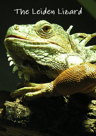 The Leiden Lizard