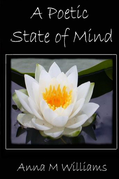 A Poetic State of Mind