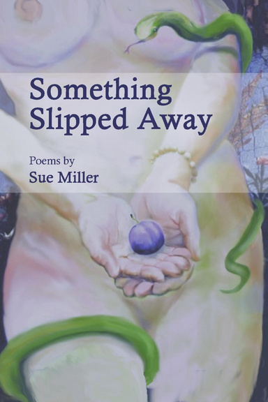 Something Slipped Away