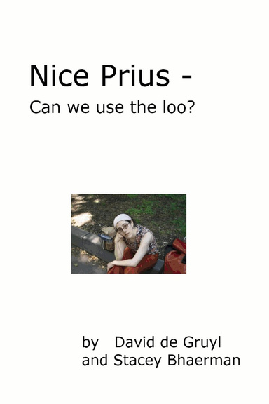 Nice Prius - Can we use the loo?