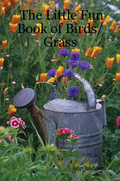 The Little Fun Book of Birds/Grass
