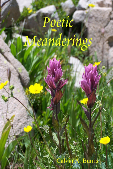 Poetic Meanderings
