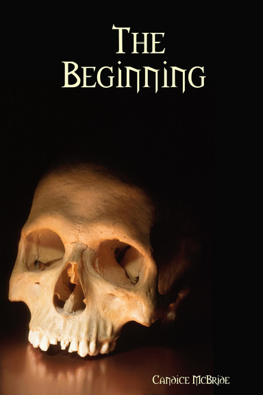 The Beginning
