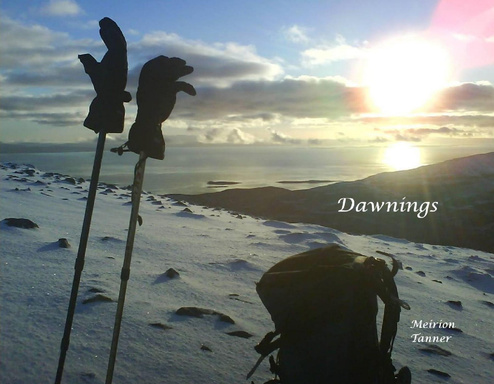 Dawnings Softcover