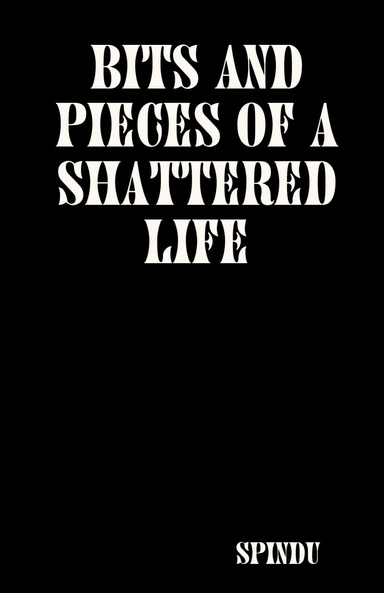 Bits and Pieces of a Shattered Life