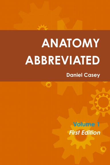 Anatomy Abbreviated Vol. 1