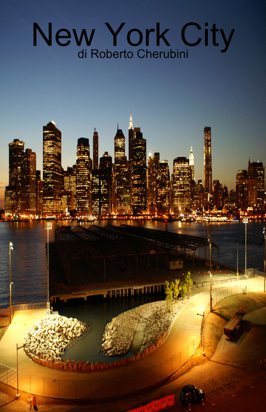 NYC 2010
