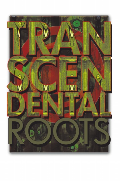 Transcendental Roots