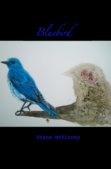Bluebird