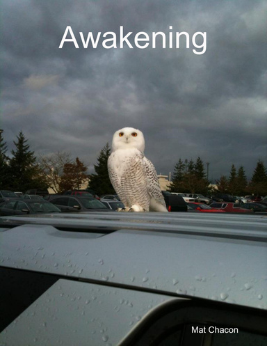 Awakening