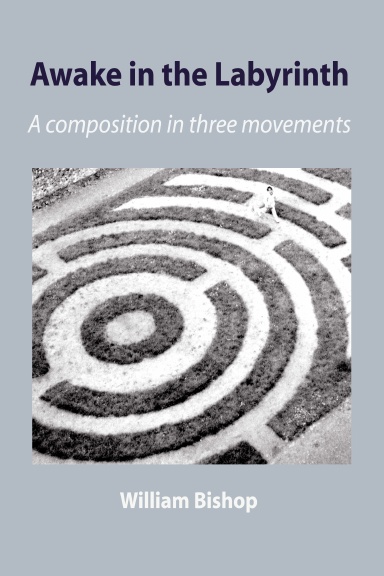 Awake in the Labyrinth