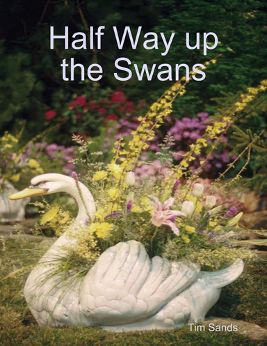 Half Way up the Swans