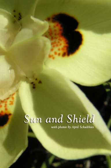Sun and Shield