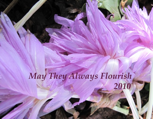 Botanical Illustration Graduates 2010