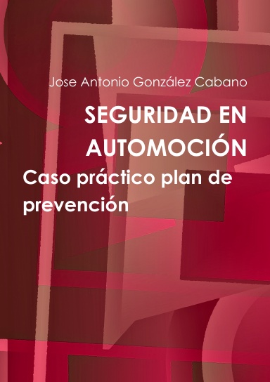 SEGURIDAD EN AUTOMOCIÓN. Caso práctico plan de prevención