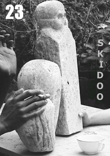 23 SKIDOO 1984