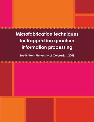 Microfabrication techniques for trapped ion quantum information processing