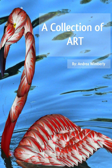 A Collection of Art