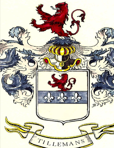 Familie-stamboom