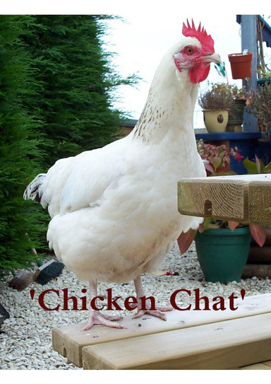 'Chicken Chat'