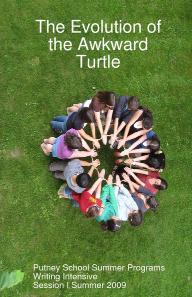 Evolution of the Awkward Turtle