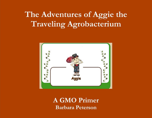 The Adventures of Aggie the Traveling Agrobacterium