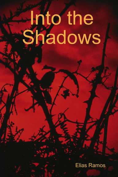 Into the Shadows
