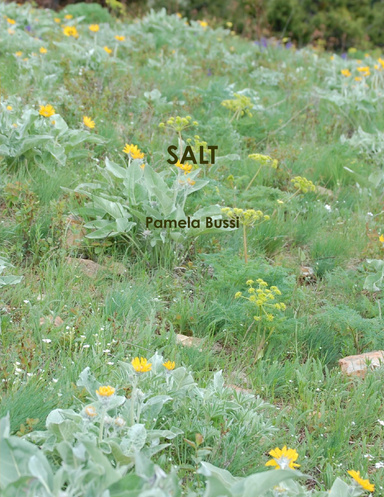 SALT