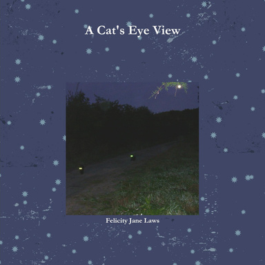 A Cat's Eye View