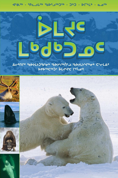 Mammal Book (Inuktitut)
