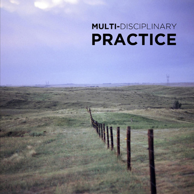 Multi-Disciplinary Practice