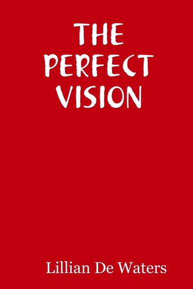 THE PERFECT VISION