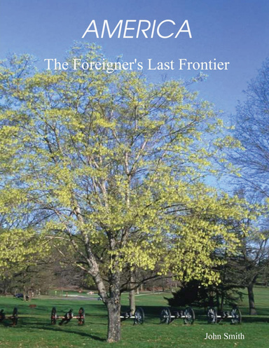 America, The Foreigner's Last Frontier