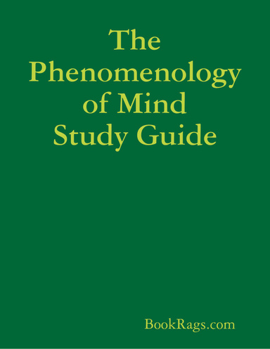 The Phenomenology of Mind Study Guide