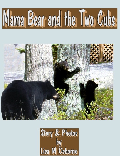 MAMA BEAR AND THE TWO LOST CUBS