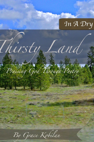In A Dry And Thirsty Land
