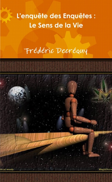 L'enquête des Enquêtes : Le Sens de la Vie (Poche)