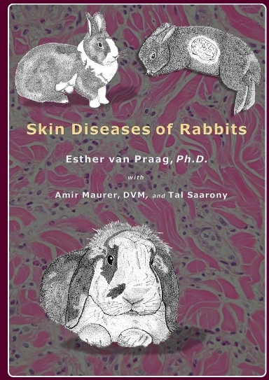 Skin Diseases of Rabbits