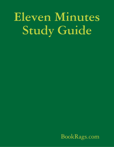 Eleven Minutes Study Guide