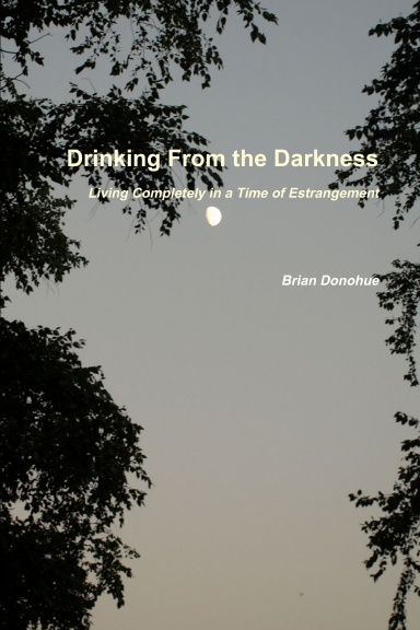 Drinking From the Darkness Living Completely in a Time of Estrangement